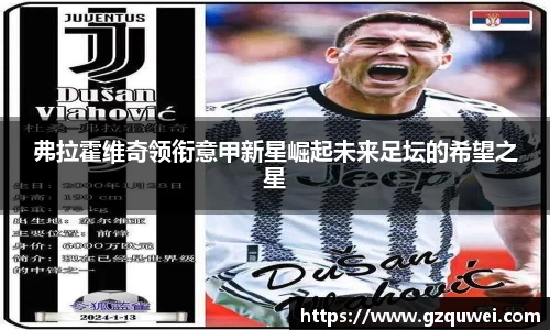 弗拉霍维奇领衔意甲新星崛起未来足坛的希望之星